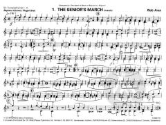 On The Bandstand (Rob Ares) 