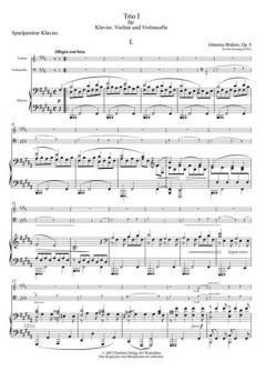 Trio H-Dur Op. 8 (Johannes Brahms) 