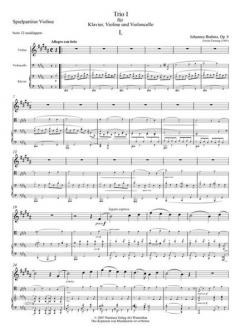 Trio H-Dur Op. 8 (Johannes Brahms) 