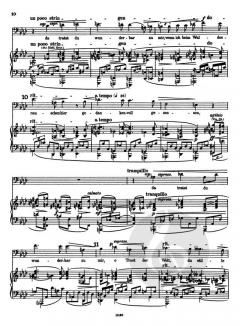 Der Einsiedler op. 144a (Max Reger) 