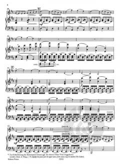 Konzert h-Moll op. 35 von Oskar Rieding 