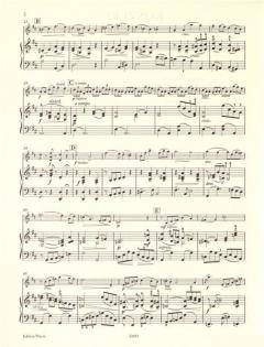 Konzert D-Dur op. 22 von Friedrich Seitz 