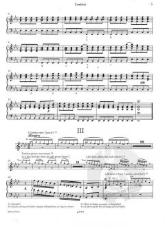 Die vier Jahreszeiten: Der Winter (Antonio Vivaldi) 