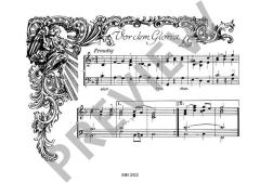 Etoile Filante von Jürgen Löchter 