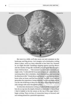 Popular Lyric Writing 