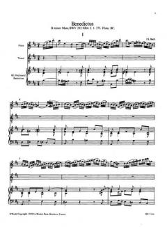 Sämtliche Arien aus den Kantaten, Messen, Oratorien Band 8 (J.S. Bach) 