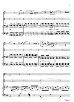 Trio E-dur von Franz Lachner 