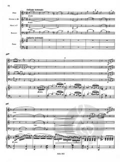 Quintett d-moll op. 41 (Franz Danzi) 