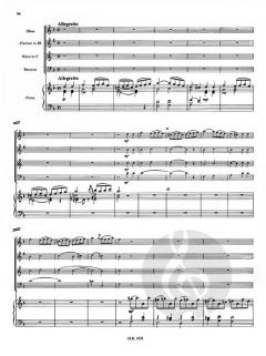 Quintett d-moll op. 41 (Franz Danzi) 