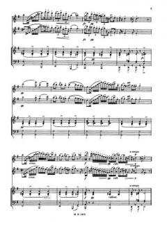 Ungarische Phantasie op. 35 von Karl Doppler 