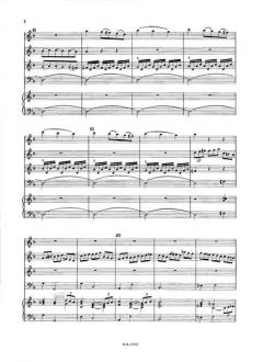 Concerto in g-Moll RV 105 (Antonio Vivaldi) 