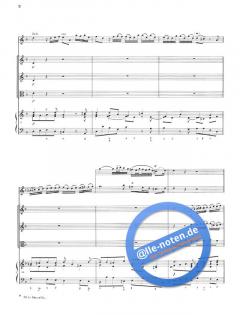 Concerto in d-moll (Alessandro Marcello) 