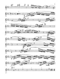 Fantasie und Variationen über ein Thema von Danzi op. 81 von Louis Spohr 