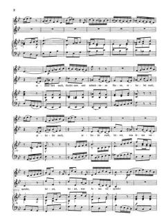 Sämtliche Arien aus den Kantaten, Messen, Oratorien Band 7 (J.S. Bach) 