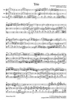 Trio Nr. 6 op. 45 von Giuseppe Maria Cambini für Holzbläser Trio (Partitur) im Alle Noten Shop kaufen