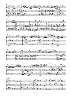 Trio Nr. 6 op. 45 von Giuseppe Maria Cambini für Holzbläser Trio (Partitur) im Alle Noten Shop kaufen