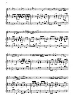 Concerto in D TWV 51:D5 von Georg Philipp Telemann 