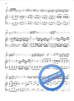 Concerto in a-moll RV 461 von Antonio Vivaldi 