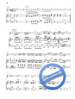 Concerto in a-moll RV 461 von Antonio Vivaldi 