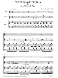 Notte Soave Delizia (Franz Lachner) 