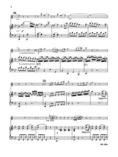 Sonate Nr. 3 in B von Johann Baptist Vanhal 