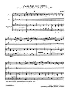 Sämtliche Arien aus den Kantaten, Messen, Oratorien Band 4 (J.S. Bach) 