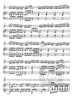 Konzertstück Nr. 2 in g-moll von Franz Danzi 