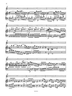 Concerto in Aminor Wq 166 von Carl Philipp Emanuel Bach 