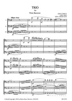 Trio von Adolf Bergt 