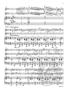 Duo concertant op. 33 von Carl Baermann 