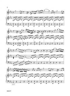 Piccolo Concertino op. 75 von Amilcare Ponchielli 