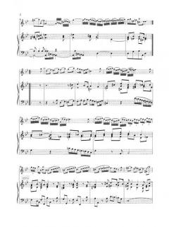 Sonata in g-Moll RV 28 von Antonio Vivaldi 
