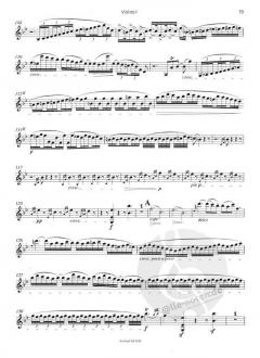 Symphonie Nr. 9 d-moll op. 125 von Ludwig van Beethoven 