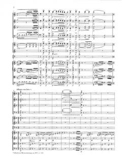 Symphonie Nr. 1 C-dur op. 21 von Ludwig van Beethoven 