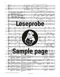 Fagottkonzert B-dur KV 191 (186e) von Wolfgang Amadeus Mozart 