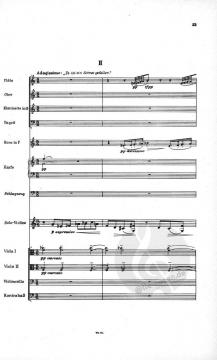 Violinkonzert Nr. 1 Wk 45 von Johann Nepomuk David 