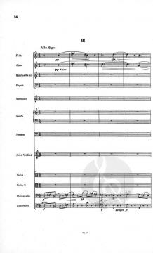 Violinkonzert Nr. 1 Wk 45 von Johann Nepomuk David 