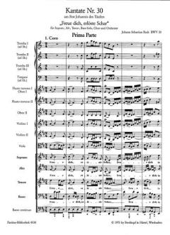Freue dich, erlöste Schar von Johann Sebastian Bach 