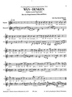 Wan-Denken Wk 64 (Johann Nepomuk David) 