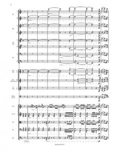 Symphonie Nr. 9 d-moll op. 125 von Ludwig van Beethoven 