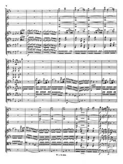 Serenade D-dur KV 203 (189b) von Wolfgang Amadeus Mozart 