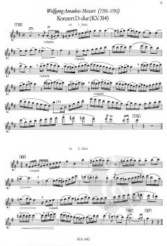 Kadenzen und Ergänzungen zu Flötenkonzerten des 18. Jahrhunderts von Burkhard Schaeffer im Alle Noten Shop kaufen