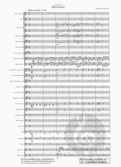 Metro Gnome (Derek Bourgeois) 