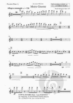 Metro Gnome (Derek Bourgeois) 