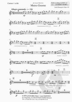 Metro Gnome (Derek Bourgeois) 