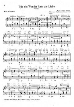 Wie ein Wunder kam die Liebe von Franz Doelle 