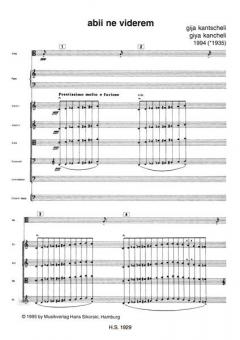 Abii ne viderem von Gija Kantscheli 