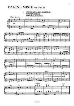 Kleine Dinge / Vermischte Seiten von Roman Ledenyov 