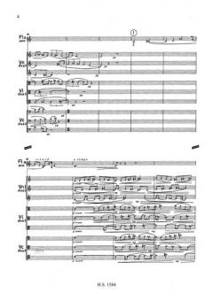 Konzert für Flöte und Orchester von Krzysztof Meyer für Flöte und Orchester im Alle Noten Shop kaufen (Partitur)