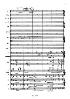 Sinfonisches Capriccio von Philipp Mohler für Orchester im Alle Noten Shop kaufen (Partitur)